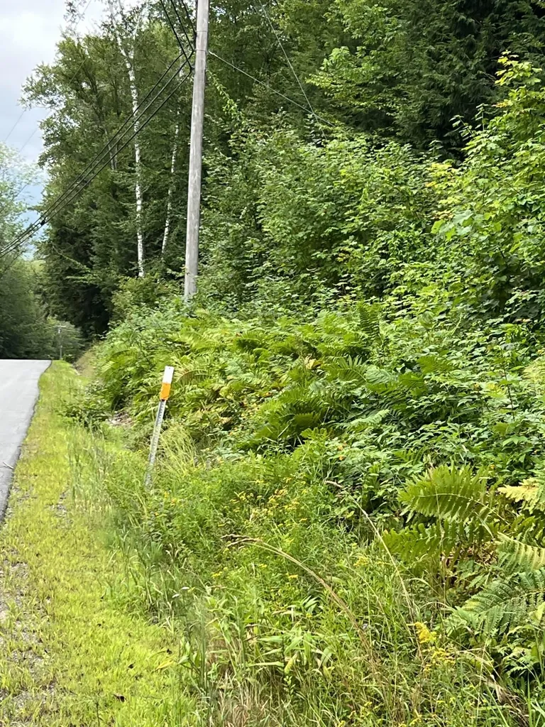 Ellsworth Hill Road Campton NH 03223