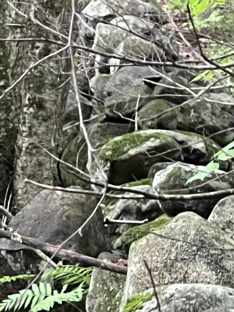 Ellsworth Hill Road Campton NH 03223