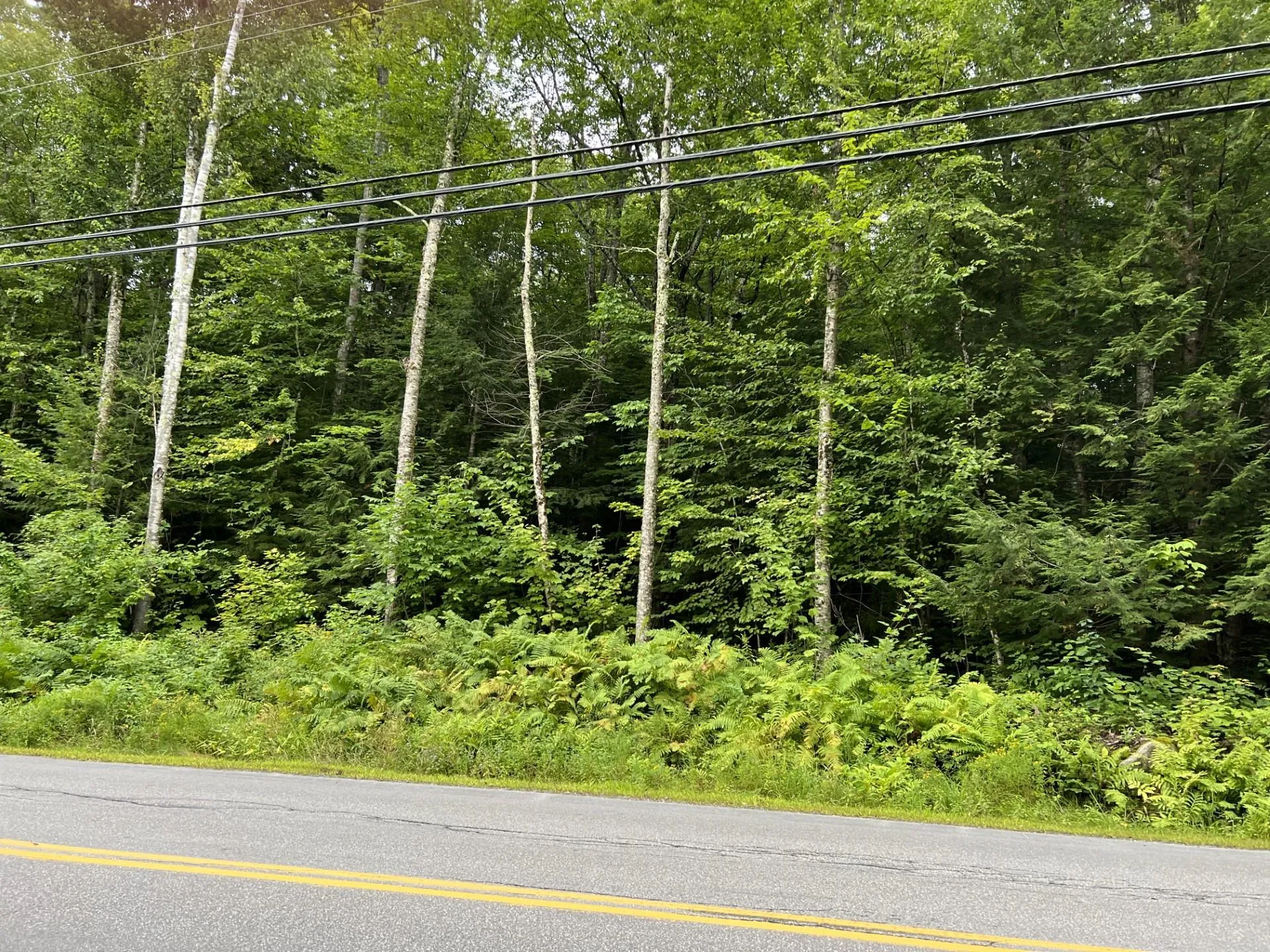 Ellsworth Hill Road Campton NH 03223