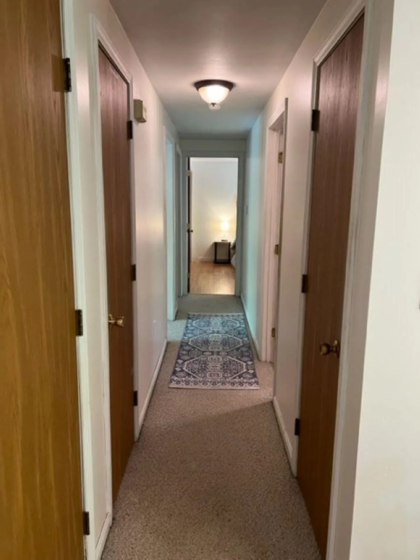 25 Dale Road Meredith NH 03253