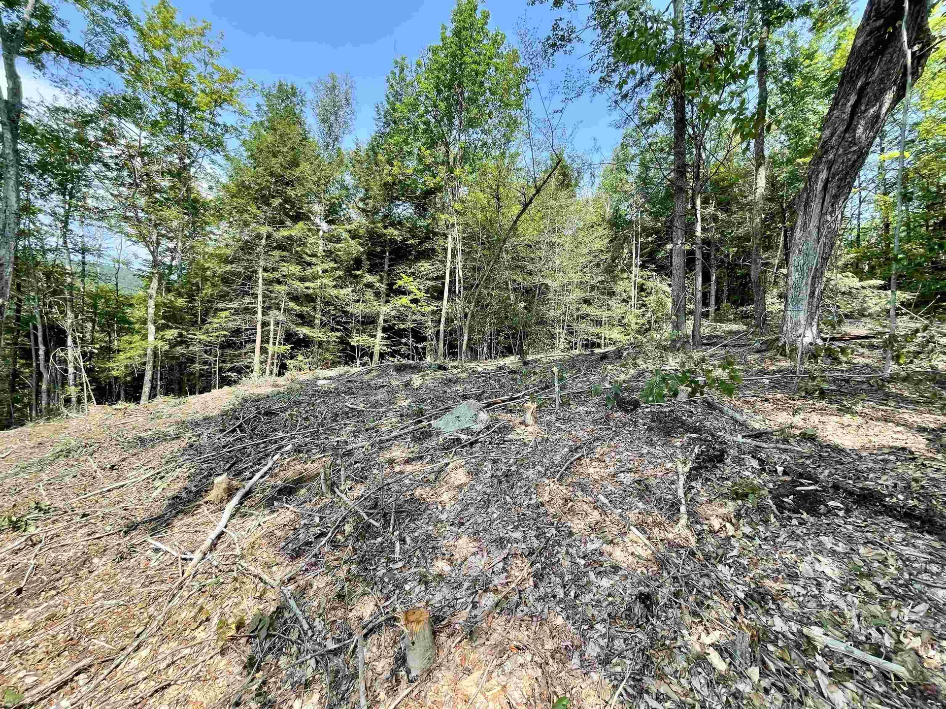 00 Swamp Road Topsham VT 05076