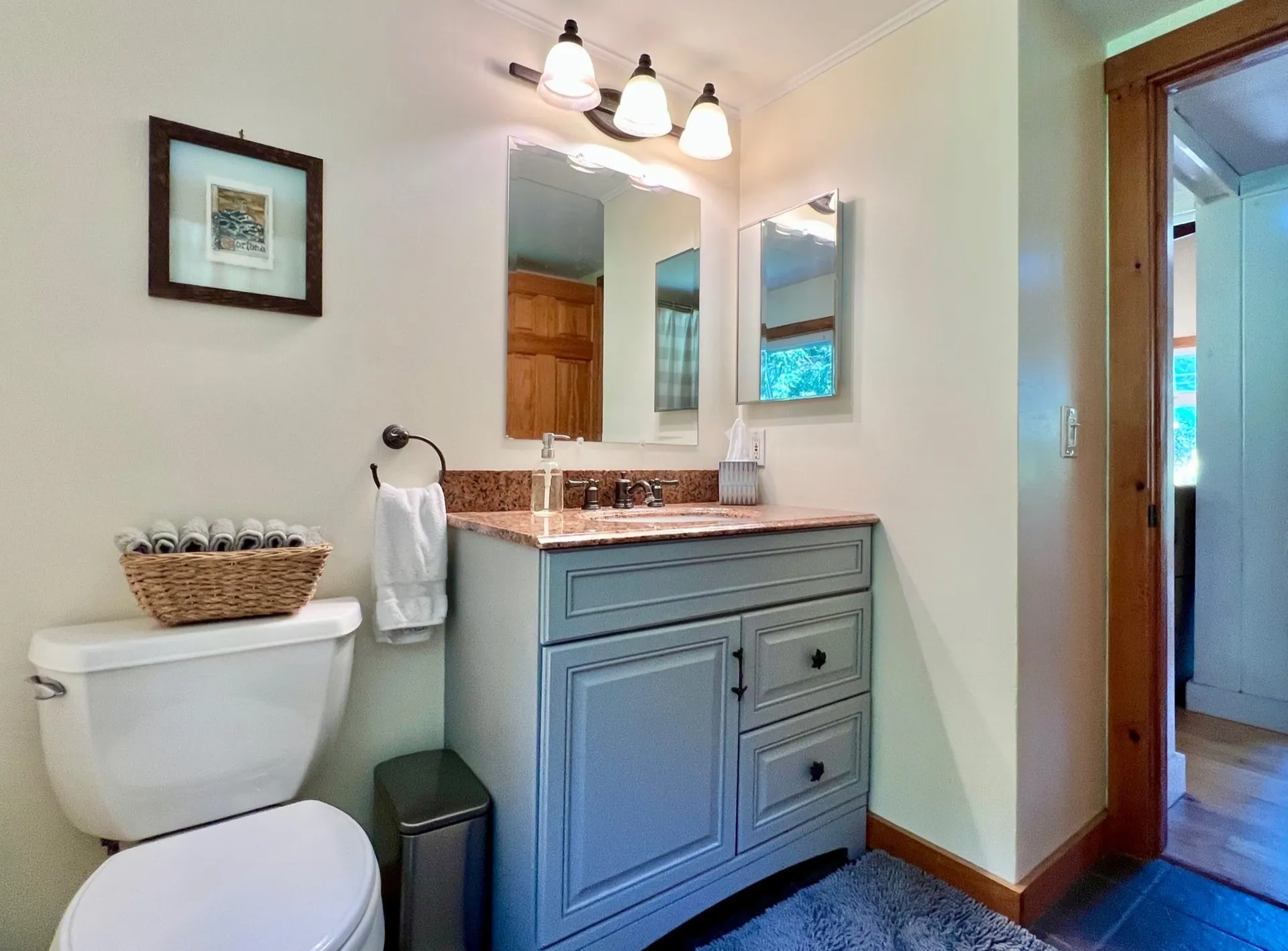 51 Gold Brook Circle Stowe VT 05672