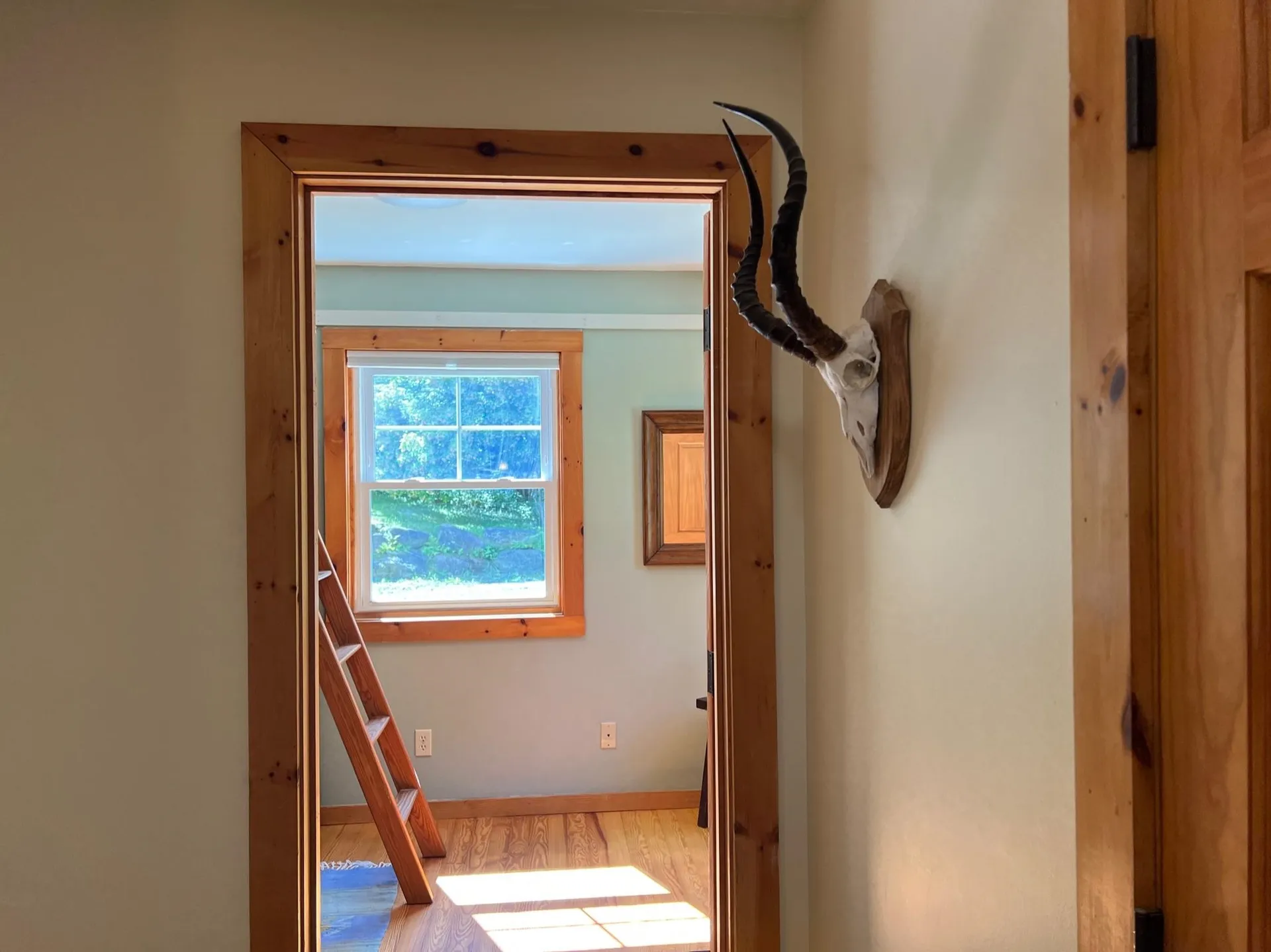 51 Gold Brook Circle Stowe VT 05672