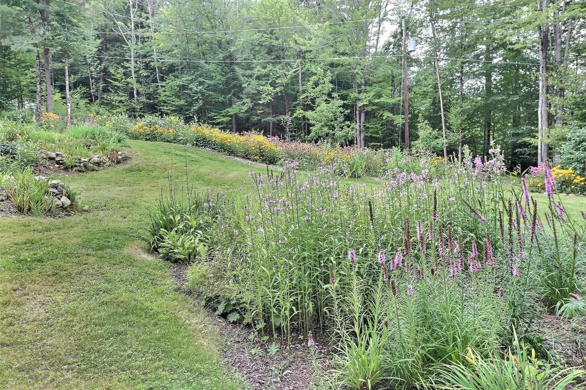 30 Deckmans Road Danbury NH 03230