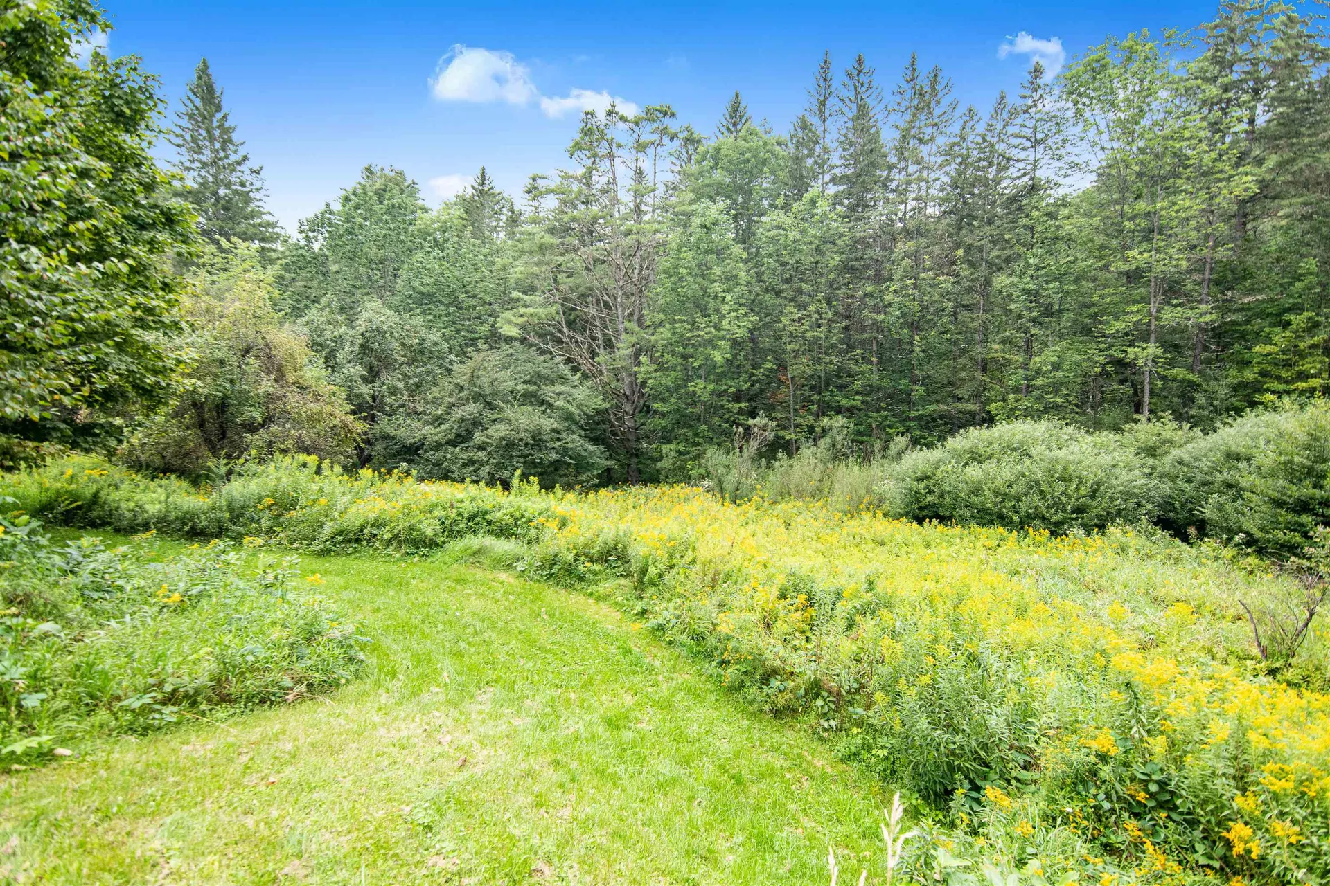 399 Center Road Middlesex VT 05602