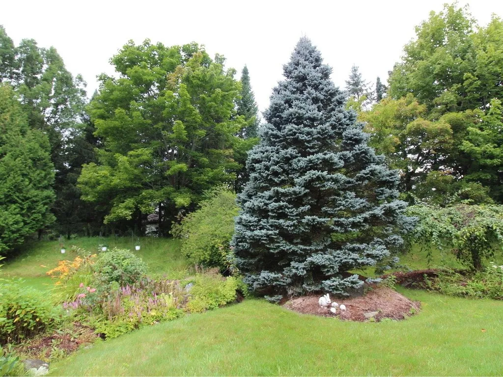 356 Meadowrun Road Williston VT 05495