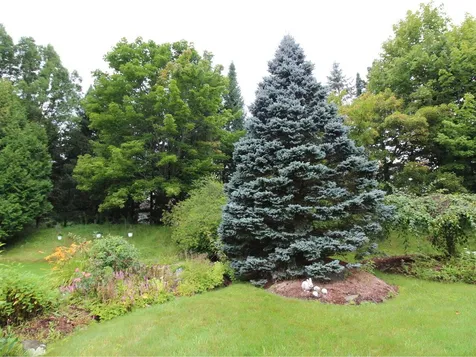 356 Meadowrun Road Williston VT 05495