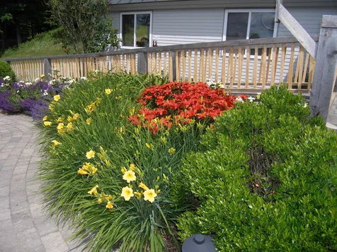 264 Aldrich Lane Wheelock VT 05851