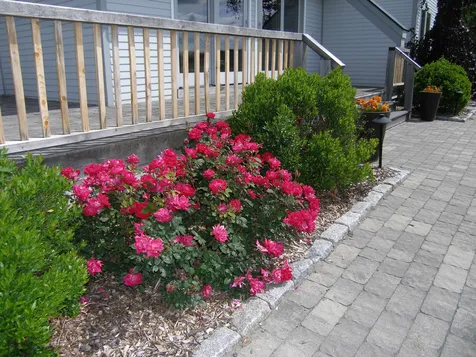 264 Aldrich Lane Wheelock VT 05851