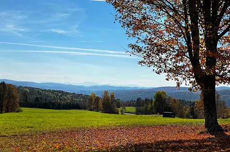 264 Aldrich Lane Wheelock VT 05851