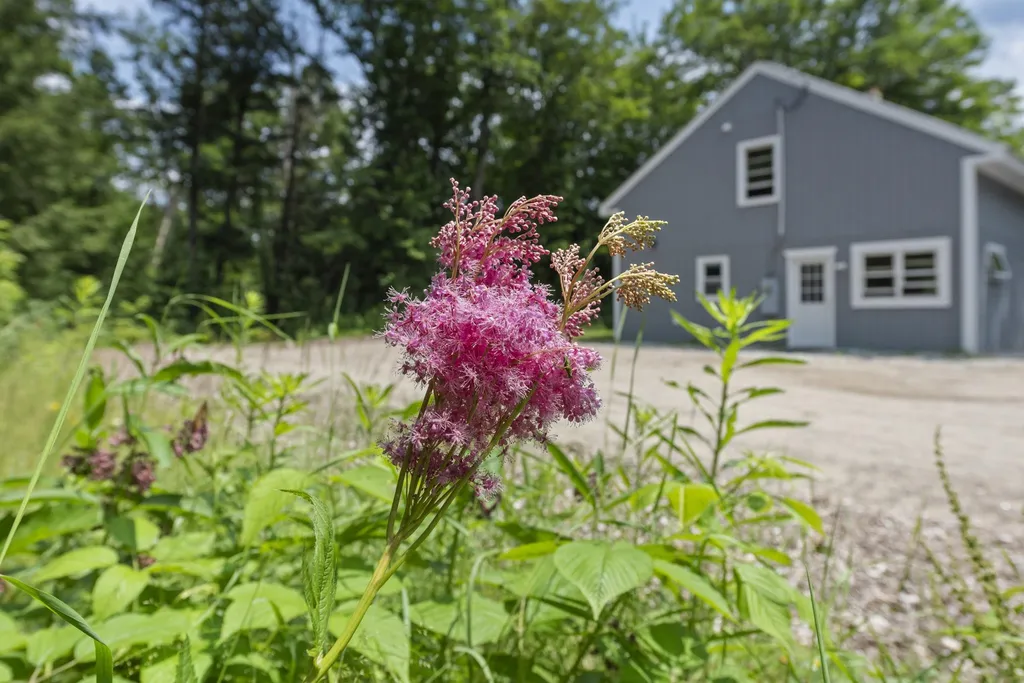 257 Taylor Hill Road Danbury NH 03230