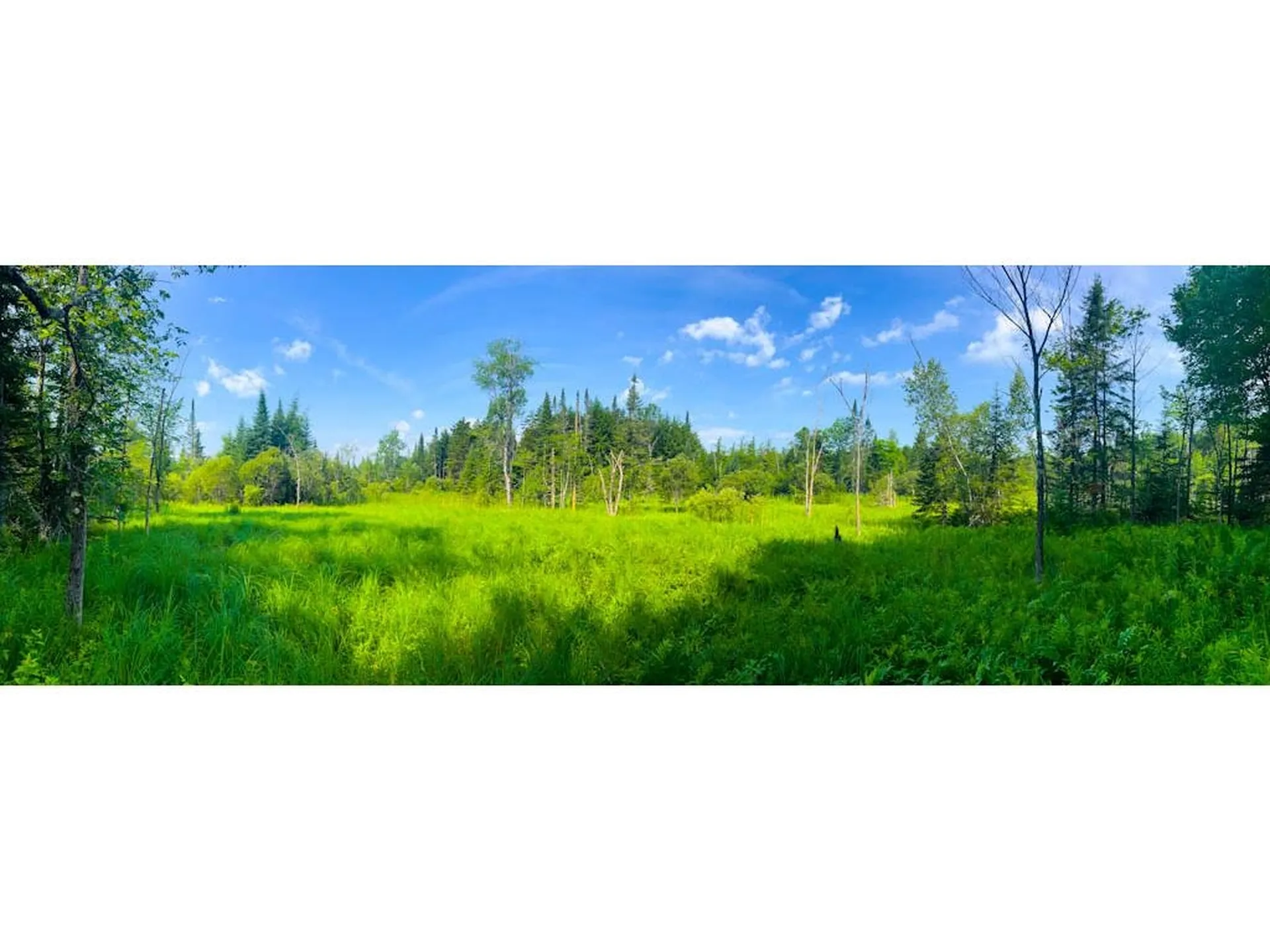0 North Hyde Park Road Hyde Park VT 05565
