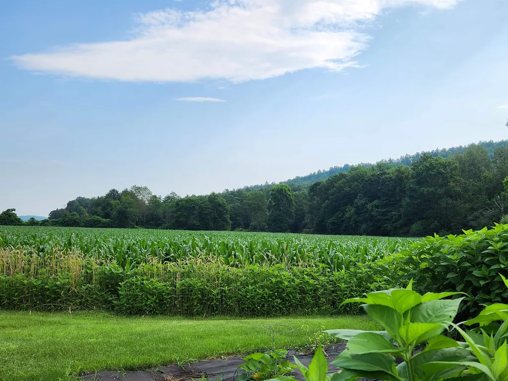 6 River Road Piermont NH 03779