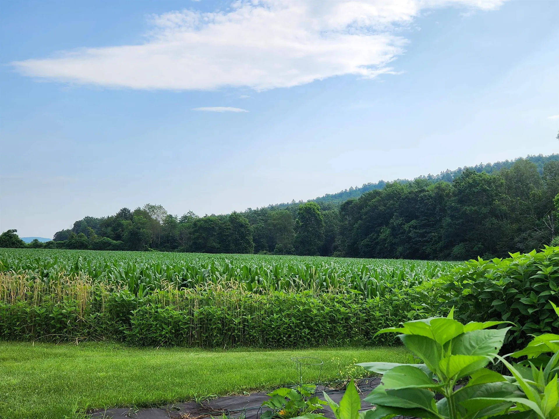 6 River Road Piermont NH 03779