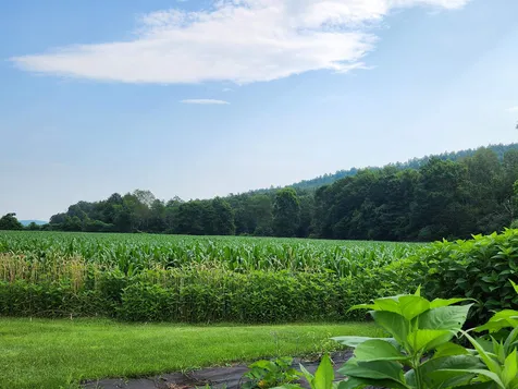 6 River Road Piermont NH 03779