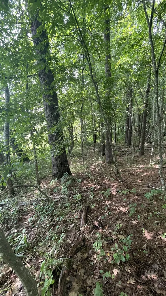 548 Bishop Road Lisbon NH 03585