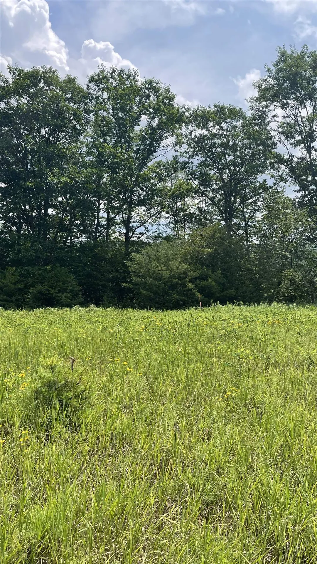 548 Bishop Road Lisbon NH 03585