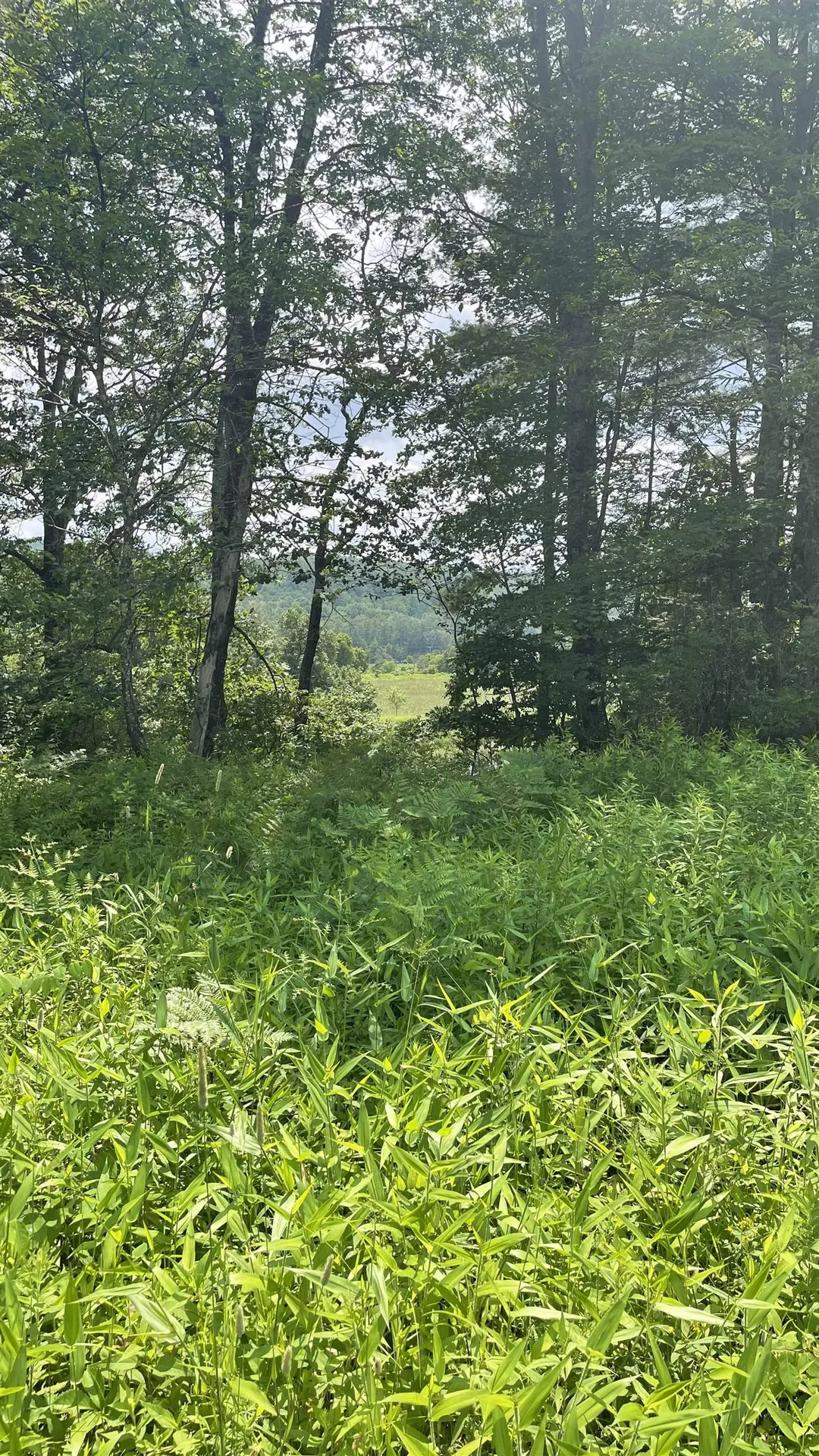 548 Bishop Road Lisbon NH 03585