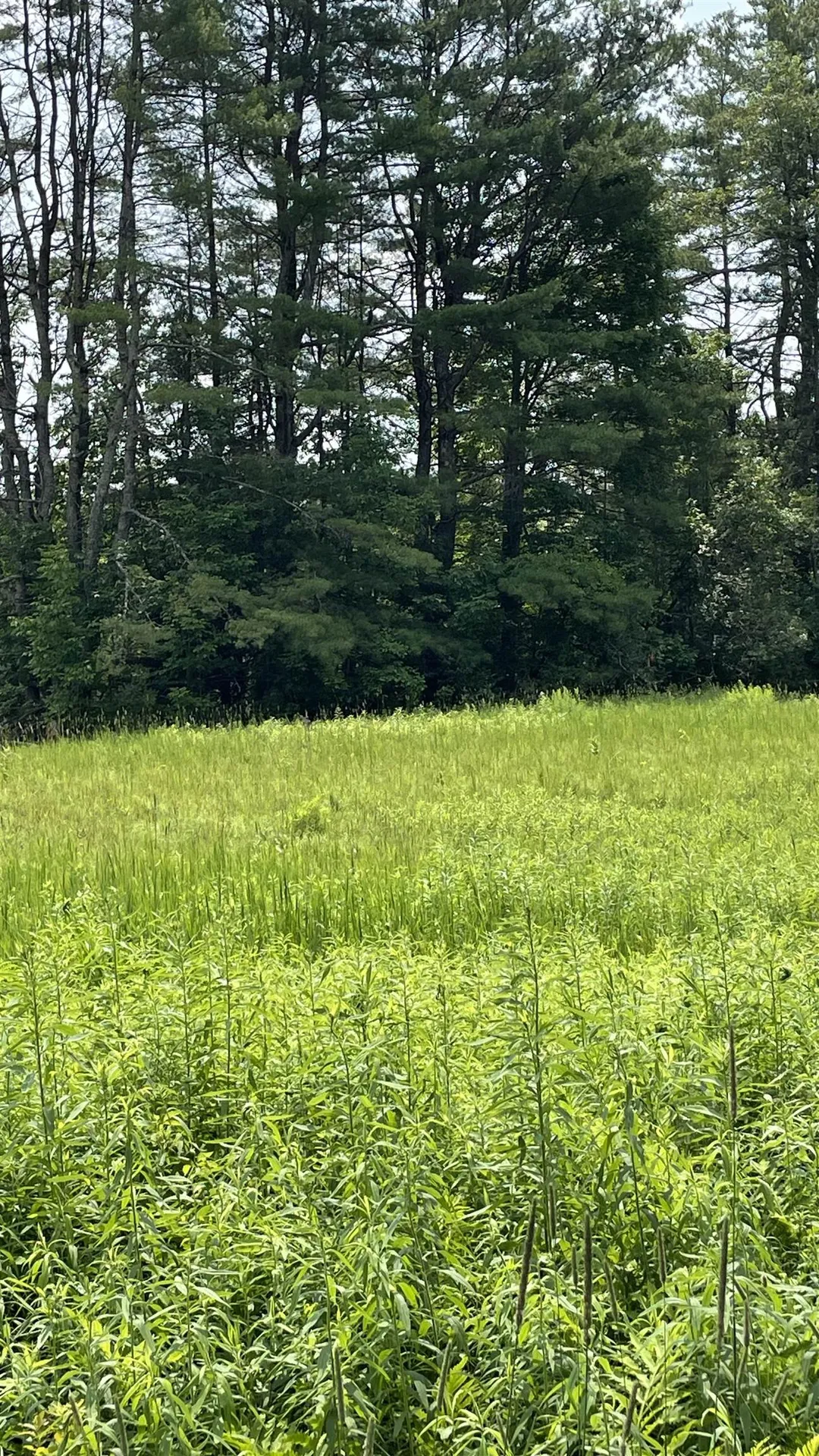 548 Bishop Road Lisbon NH 03585