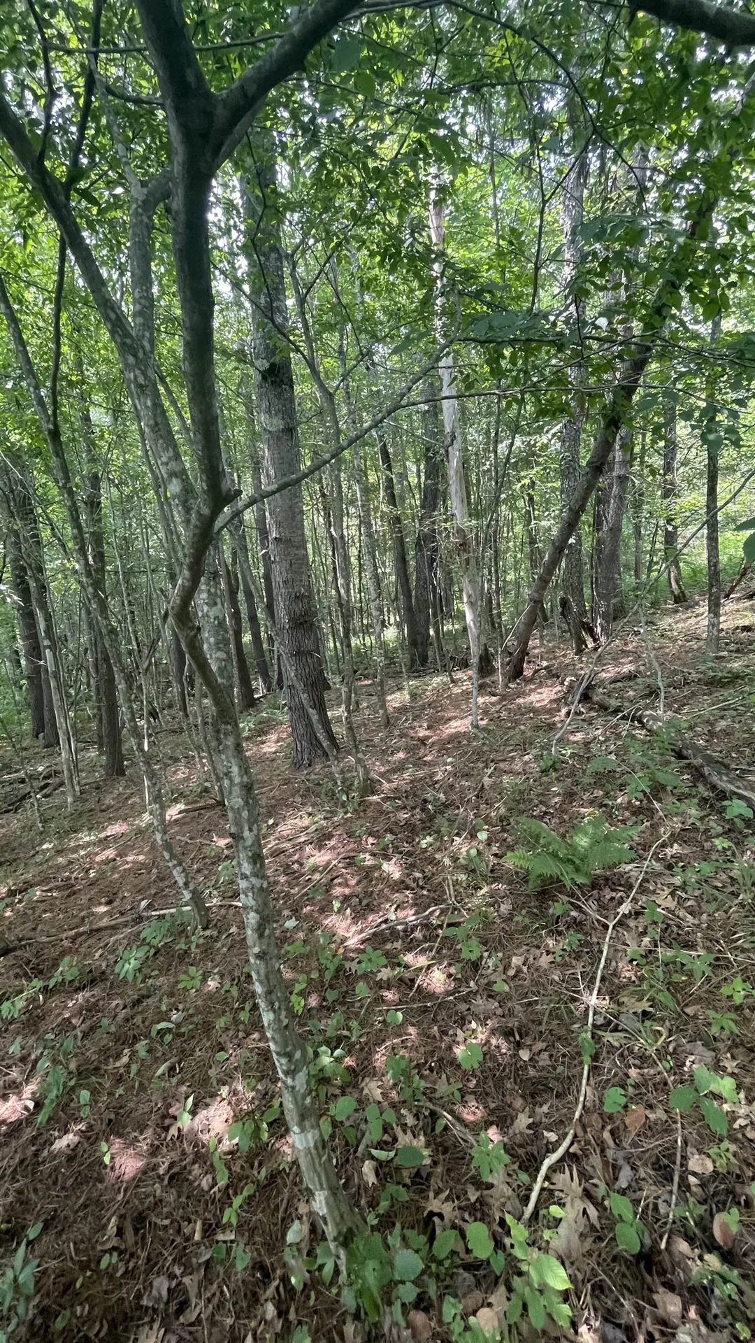 548 Bishop Road Lisbon NH 03585