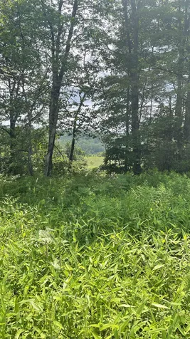 548 Bishop Road Lisbon NH 03585