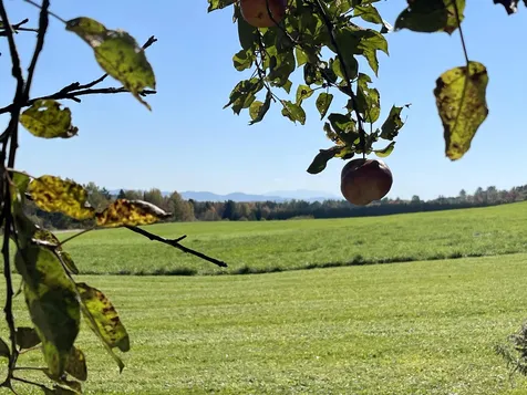 92 Sugar Ridge Road Danville VT 05828