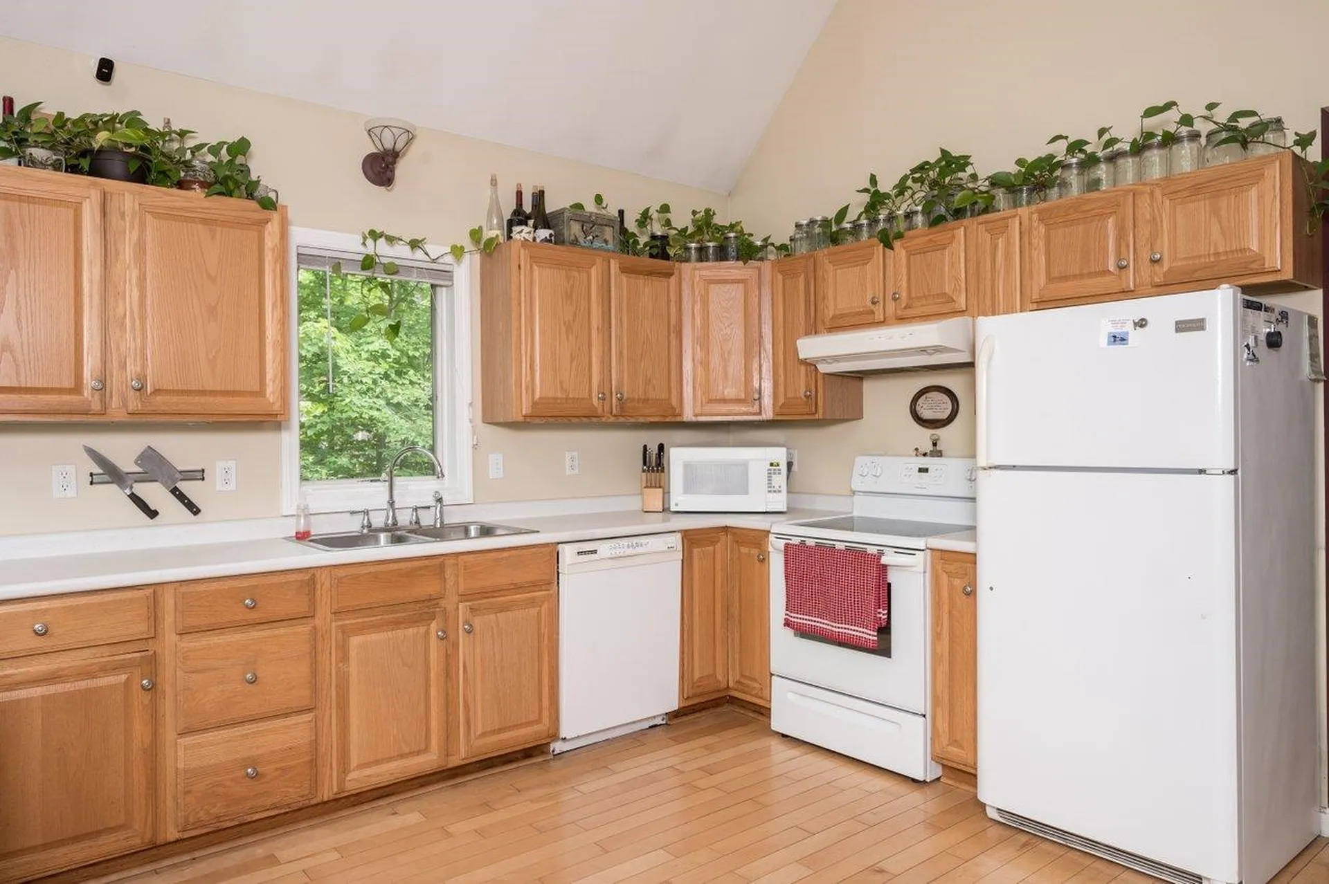 10 Dudley Drive Middleton NH 03887