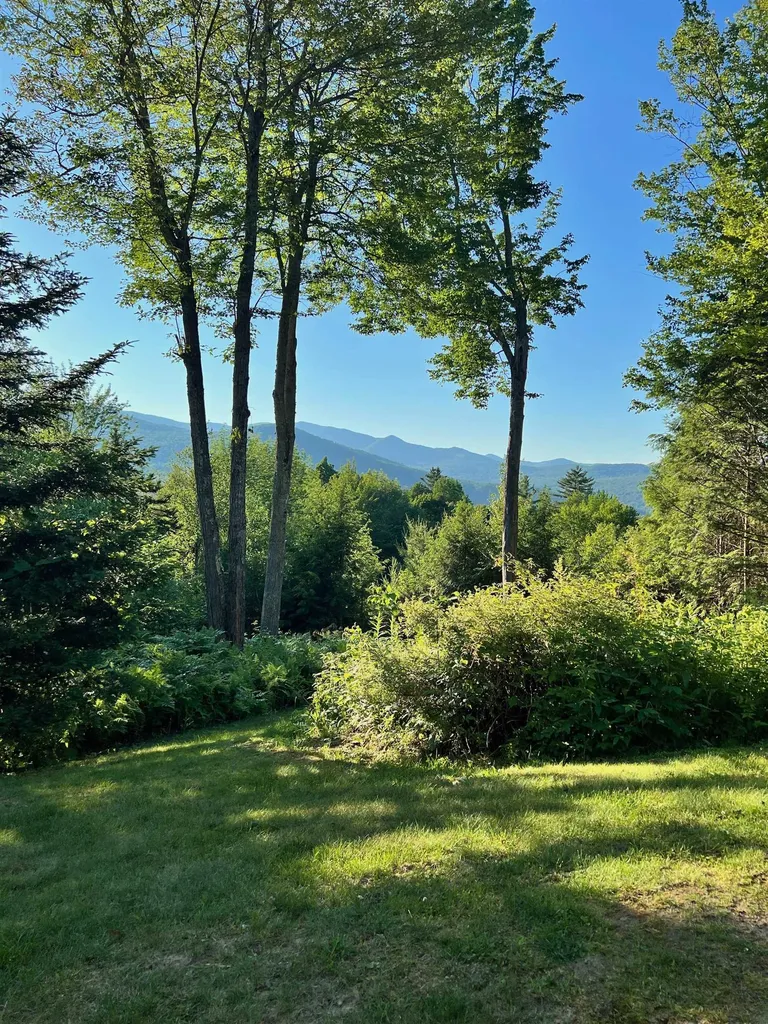 234 N Pinnacle Ridge Road Waterbury VT 05676