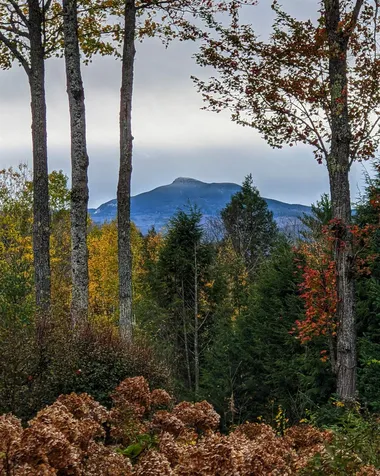 234 N Pinnacle Ridge Road Waterbury VT 05676