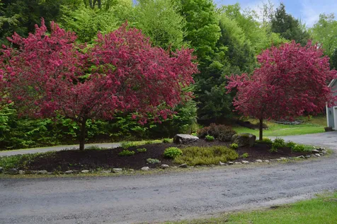 234 N Pinnacle Ridge Road Waterbury VT 05676