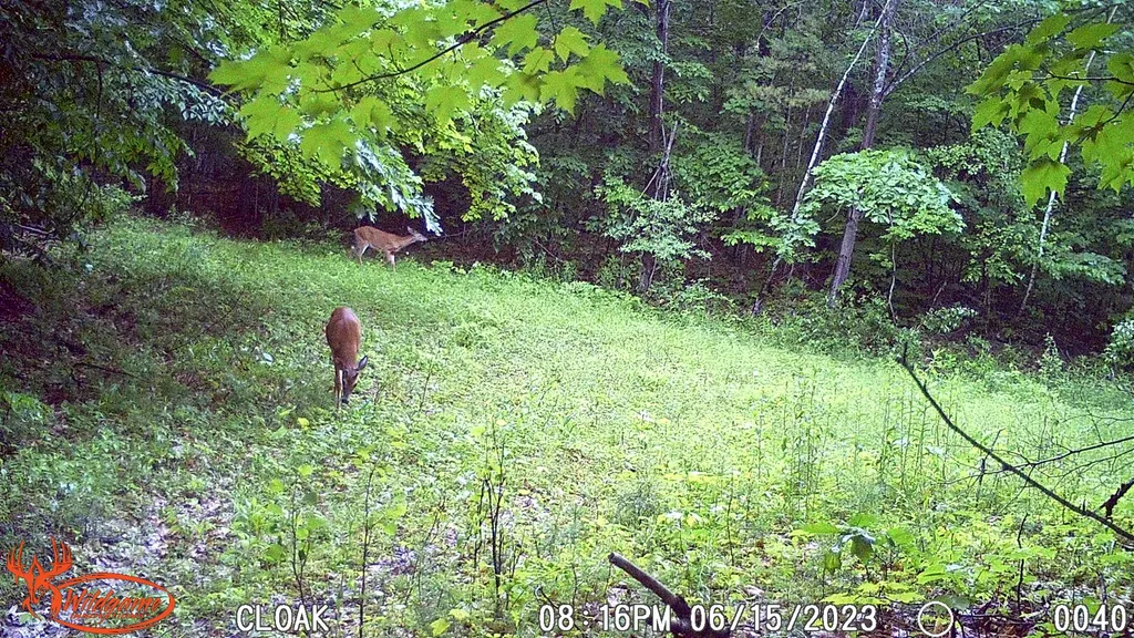330 E Green Mountain Road Claremont NH 03743
