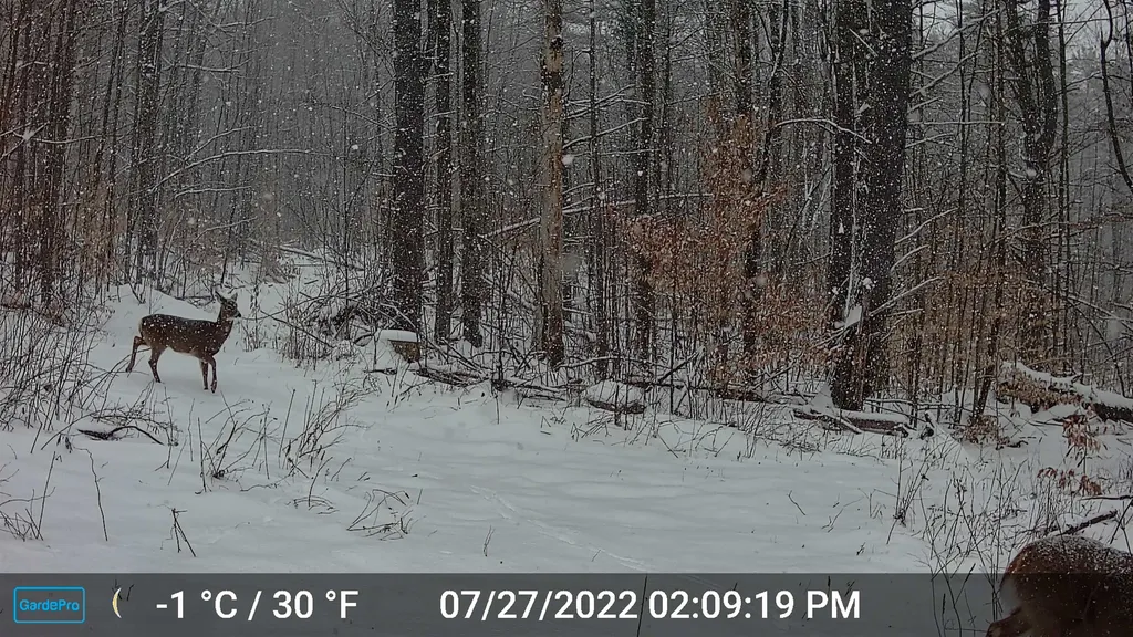 330 E Green Mountain Road Claremont NH 03743