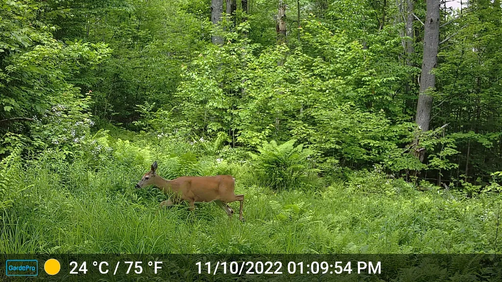 330 E Green Mountain Road Claremont NH 03743