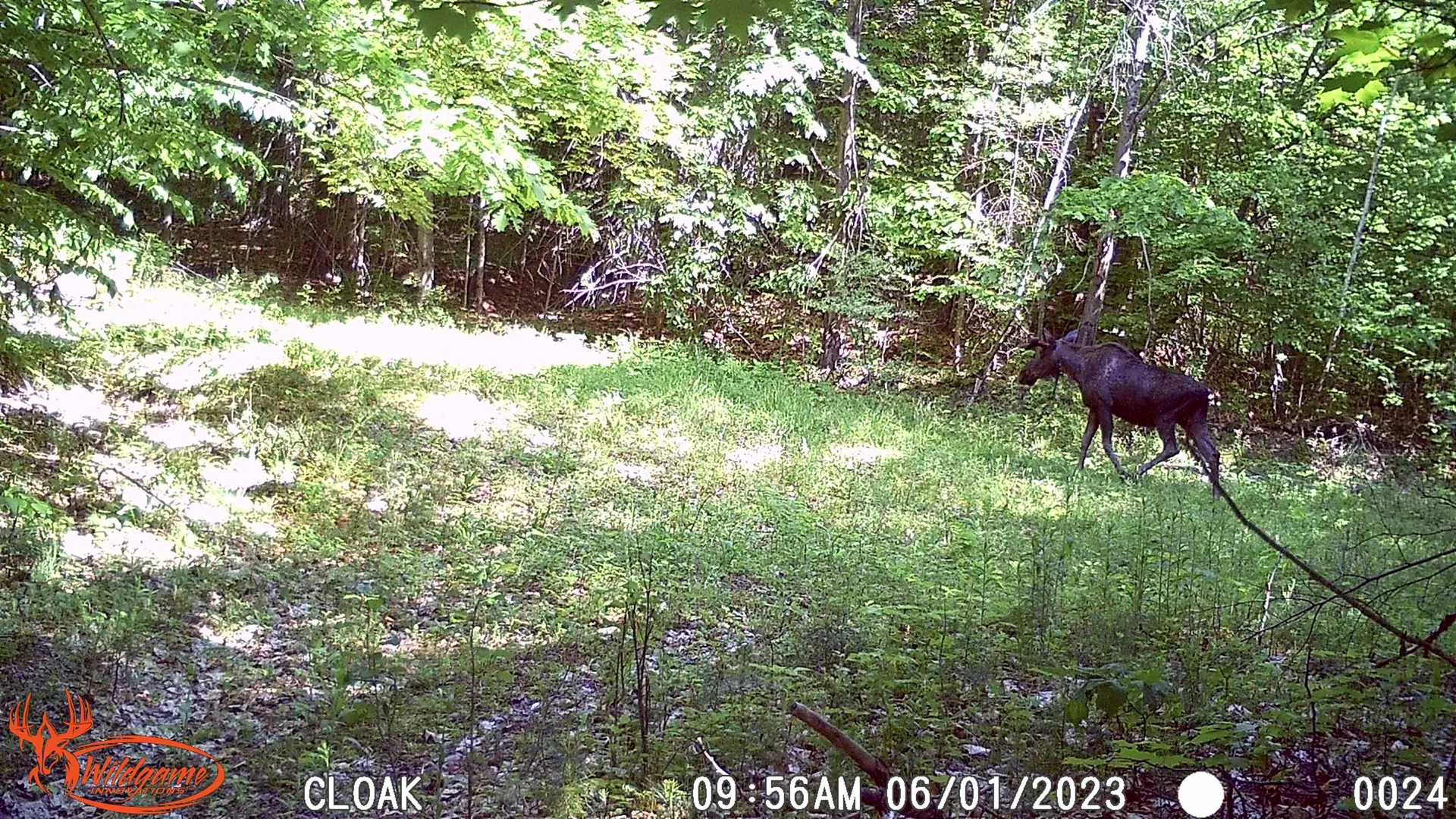 330 E Green Mountain Road Claremont NH 03743