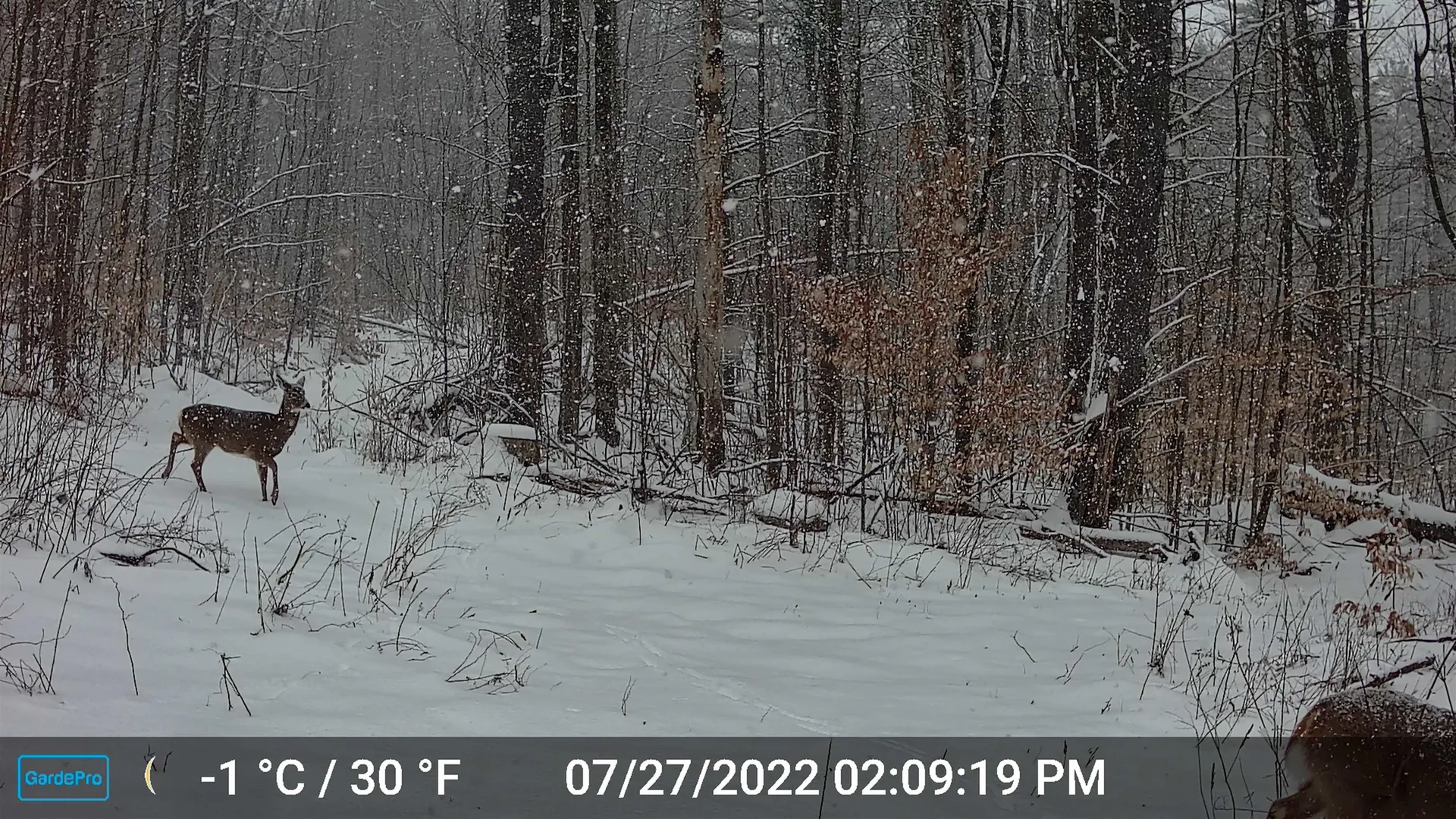 330 E Green Mountain Road Claremont NH 03743