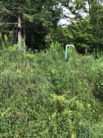 103 Spring Drive Cambridge VT 05464