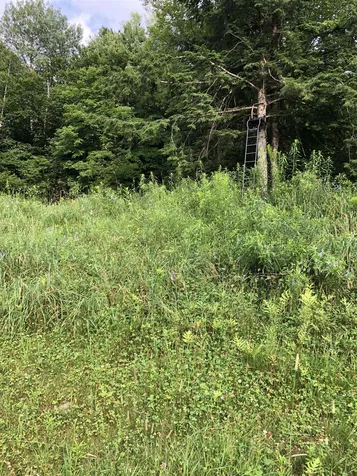 103 Spring Drive Cambridge VT 05464