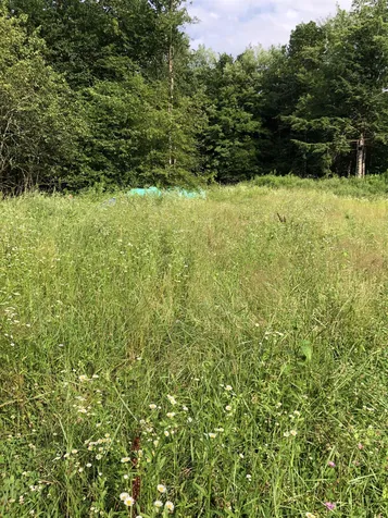 103 Spring Drive Cambridge VT 05464