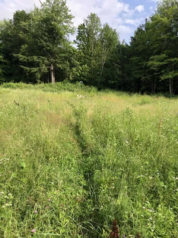 103 Spring Drive Cambridge VT 05464