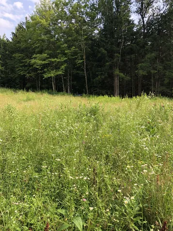 103 Spring Drive Cambridge VT 05464