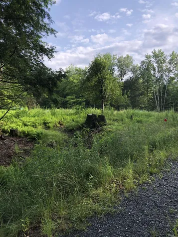 103 Spring Drive Cambridge VT 05464