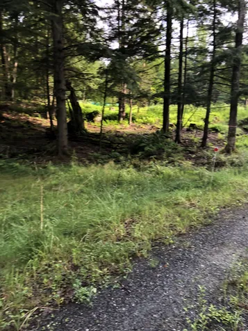 103 Spring Drive Cambridge VT 05464