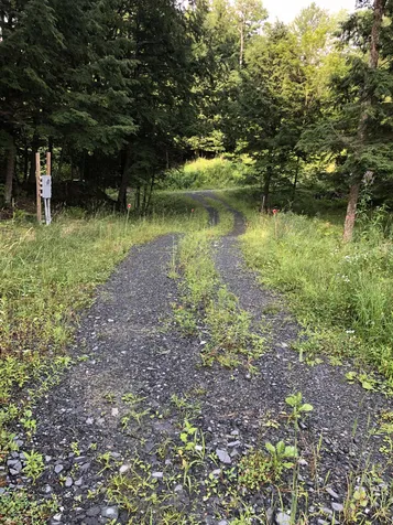 103 Spring Drive Cambridge VT 05464