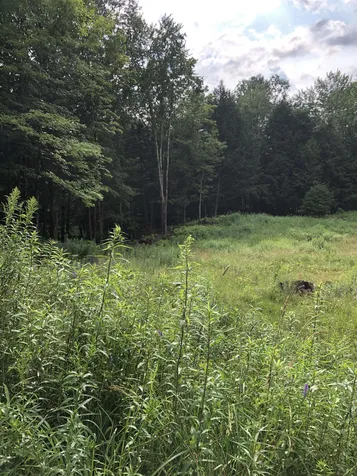 103 Spring Drive Cambridge VT 05464