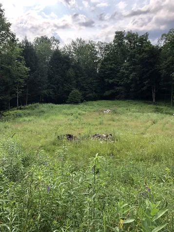 103 Spring Drive Cambridge VT 05464