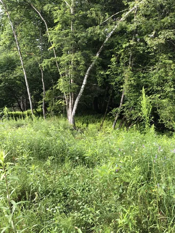 103 Spring Drive Cambridge VT 05464