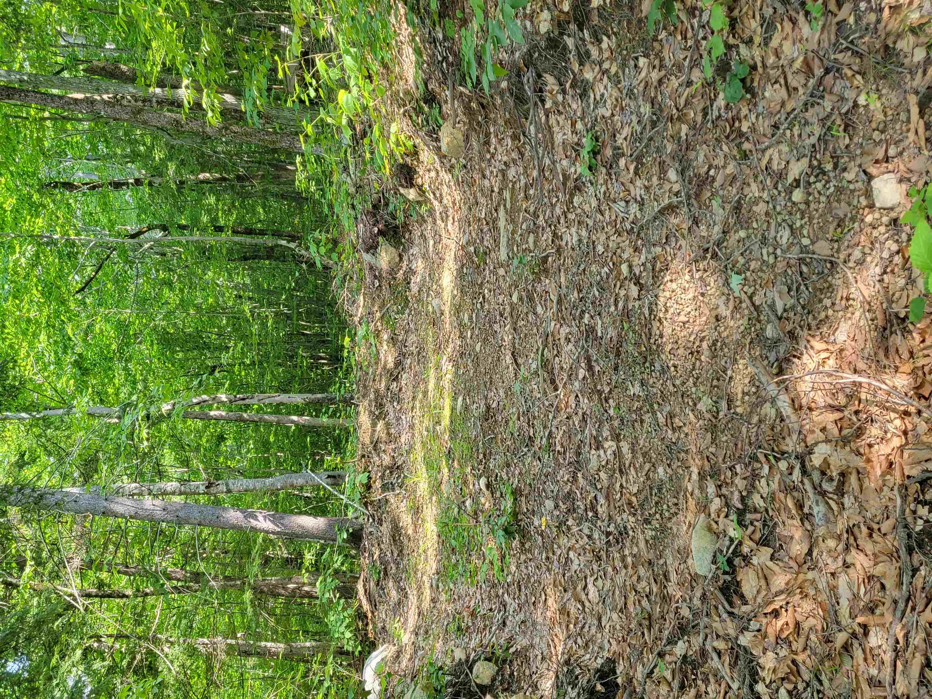 24 Appenvel Way Madison NH 03849