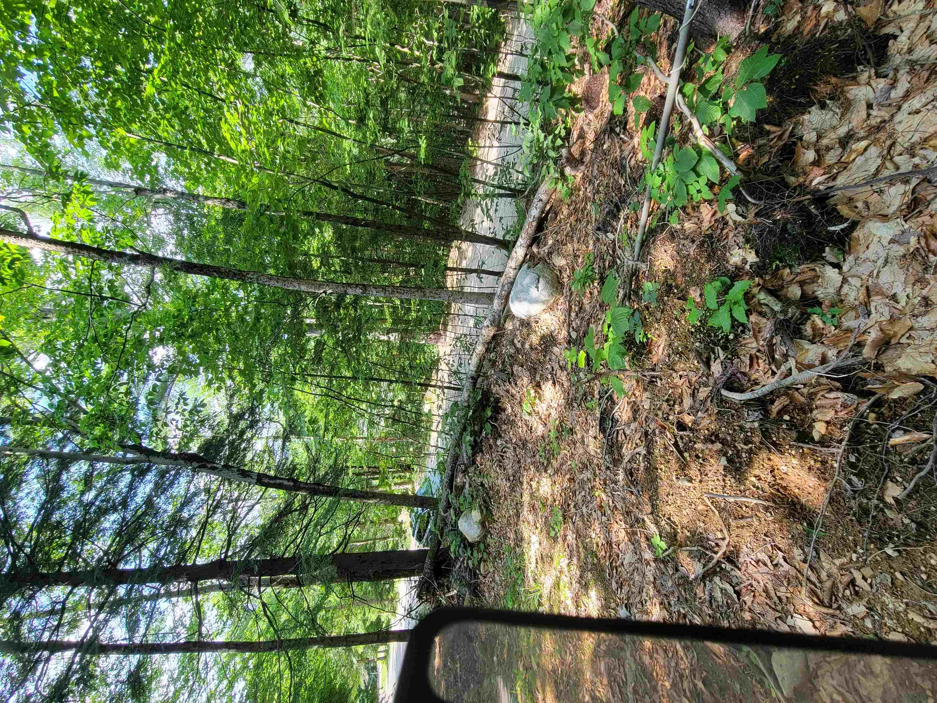 24 Appenvel Way Madison NH 03849