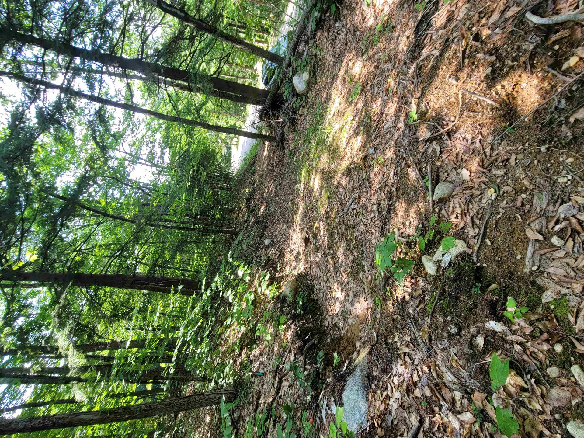 24 Appenvel Way Madison NH 03849