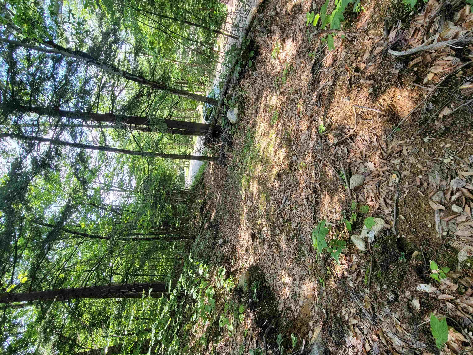 24 Appenvel Way Madison NH 03849